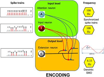 A Model of Memory Linking Time to Space